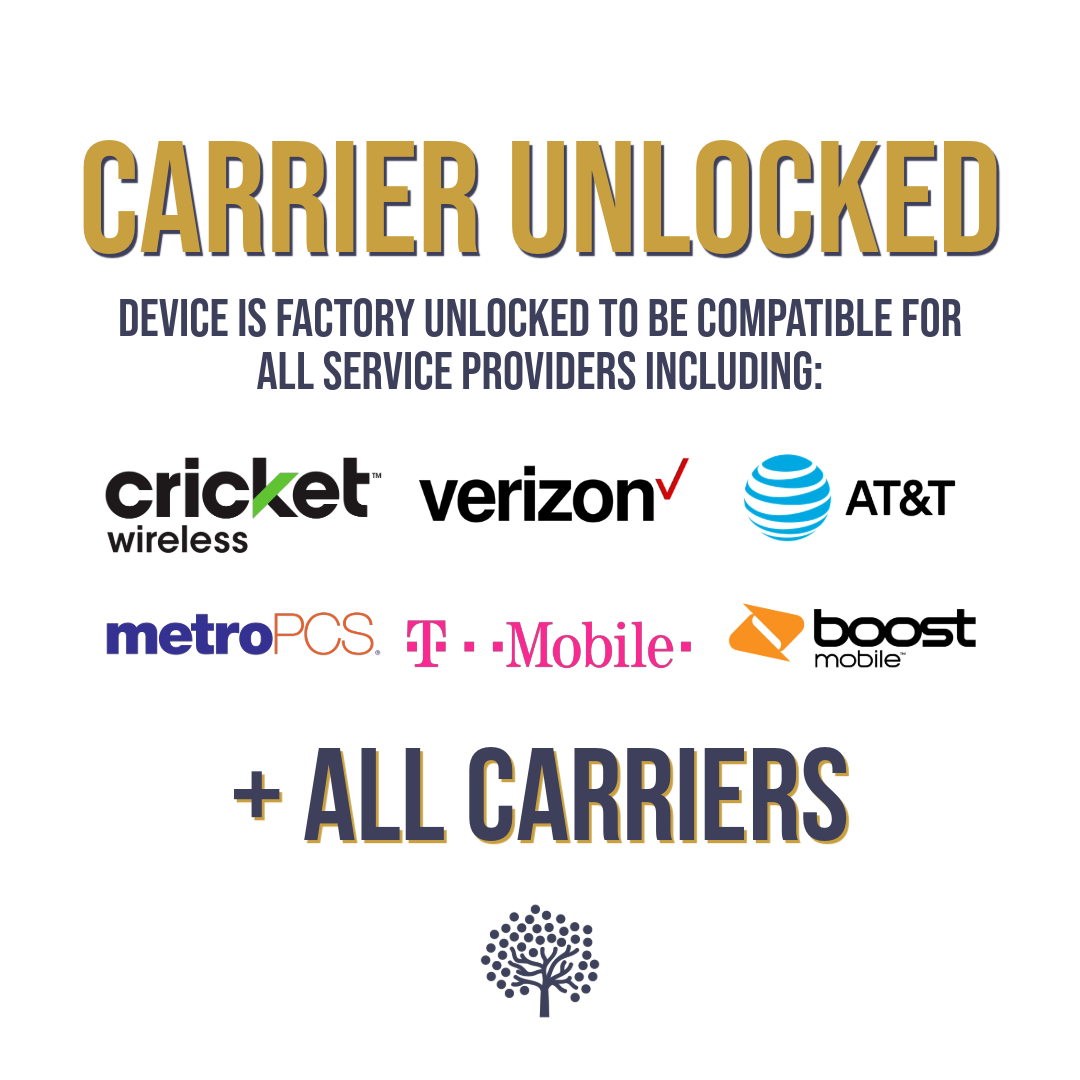 iPhone X (256 GB) - NEGRO