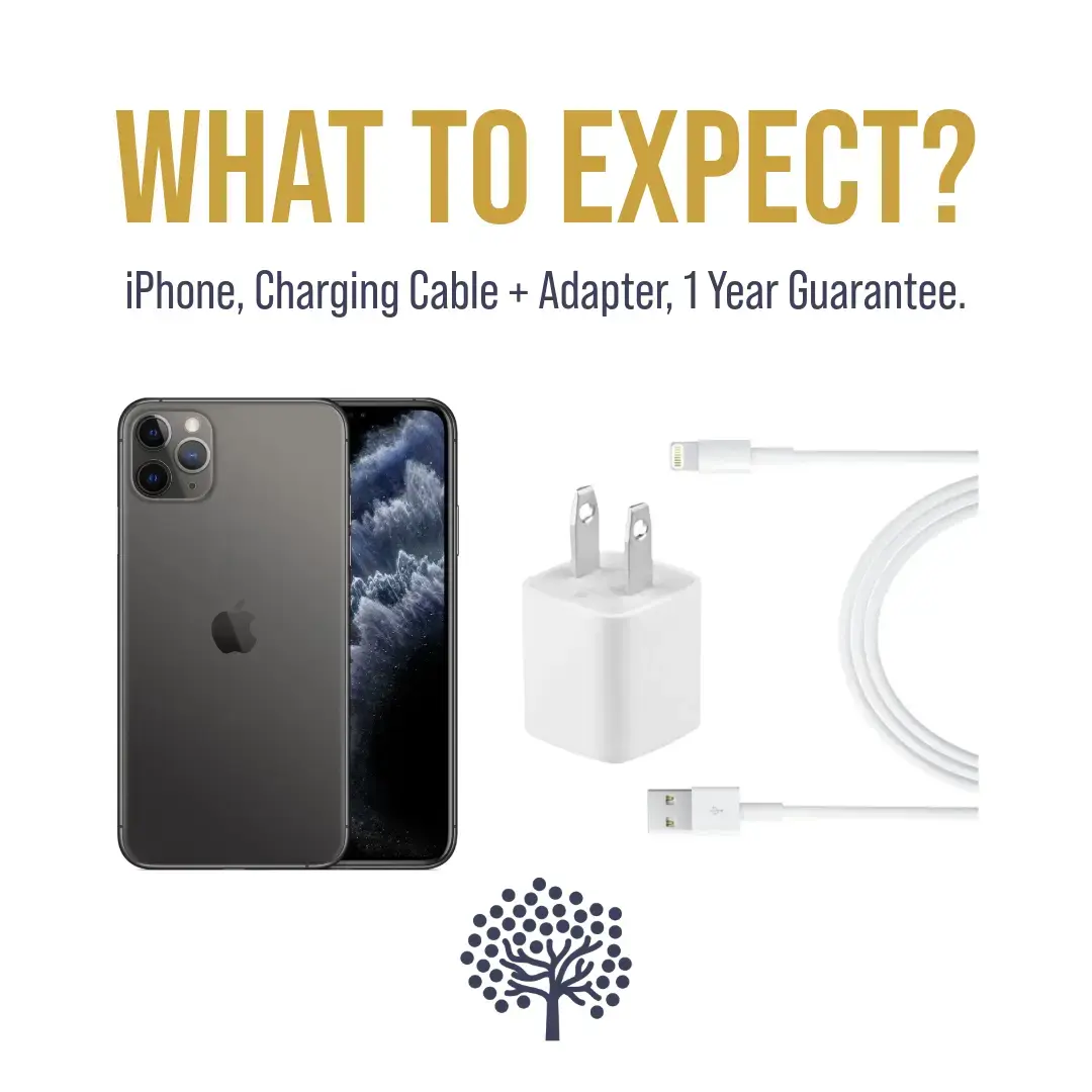 iPhone 11 Pro Max Strictli