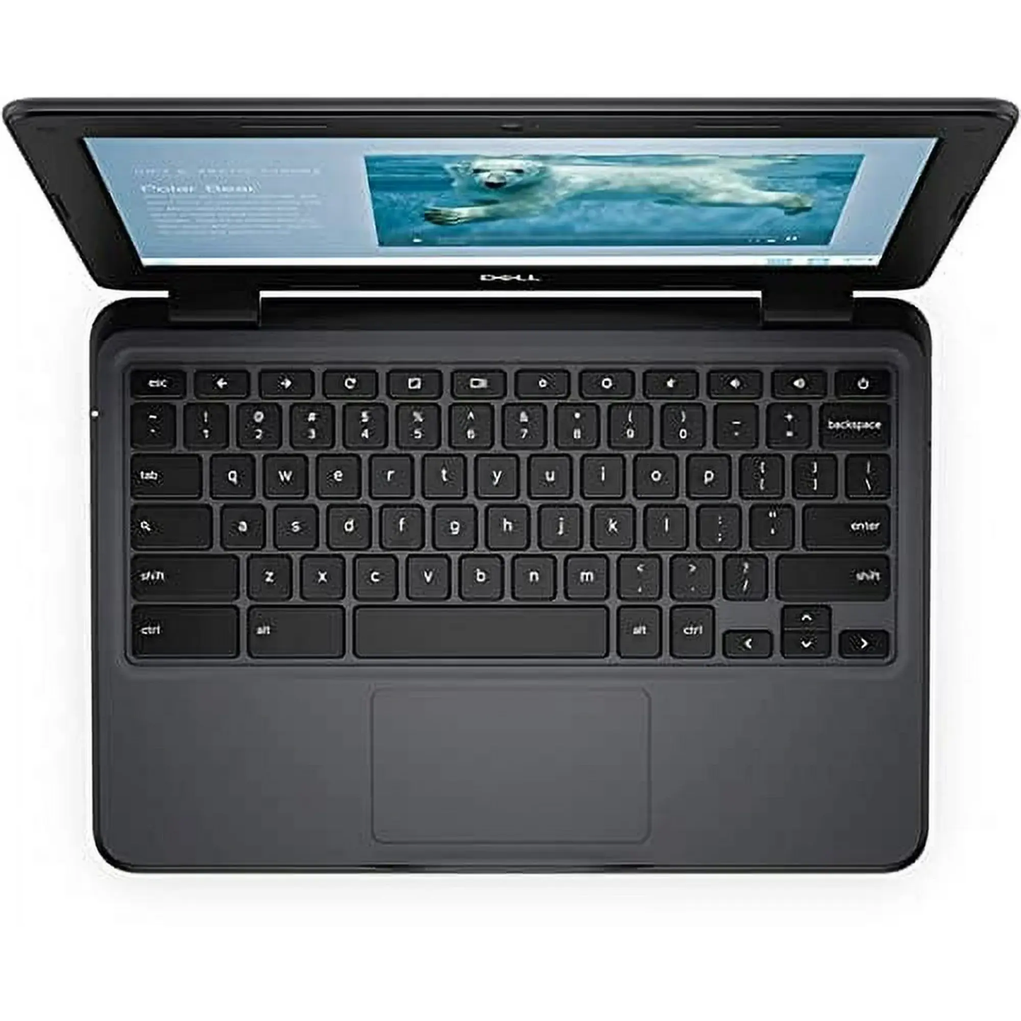 Dell (Chromebook) 3100 0KYC9A00 Strictli