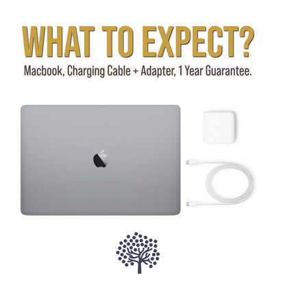 2023 MacBook Pro 14" (M2 Pro)